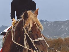-灵山