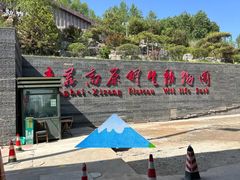 -青藏高原野生动物园