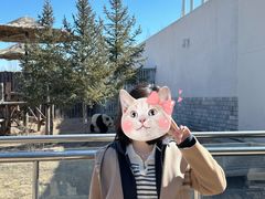 -大青山野生动物园