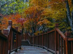 -崂山九水游览区