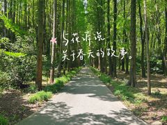 -上海滨江森林公园