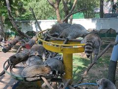 -西霞口神雕山野生动物世界