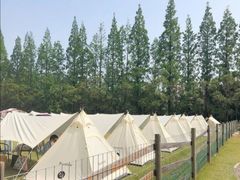 -前小桔亲子创意农场·草莓采摘·露营烧烤