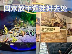 -安徽省地质博物馆