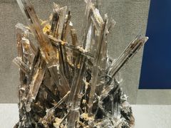 -贵州省地质博物馆