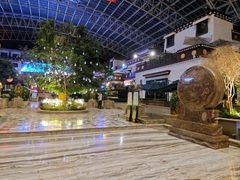 -拉萨圣地天堂洲际大饭店-自助餐厅
