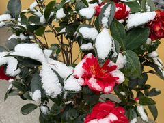 -狼山风景名胜区