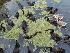 -长白岛森林公园