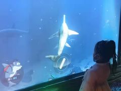 -沈阳海洋探索中心