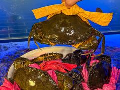 -辣螃铠盆盆蟹大排档(海昌店)