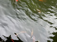 -瑞博尔花园酒店(太周创新产业园店)