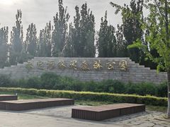 -永定河休闲森林公园