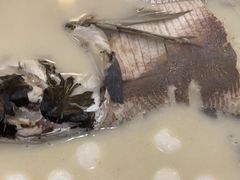 -香山湖渔家大院