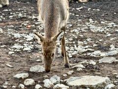 -观唐（国际）度假村温泉