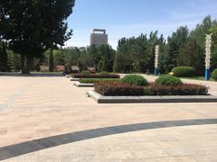 -阿尔丁植物园