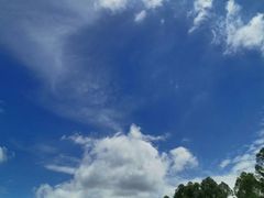 -白鹭湾湿地公园