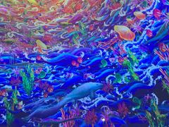 -海合安武汉极地海洋公园