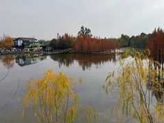 -白鹭湾湿地公园