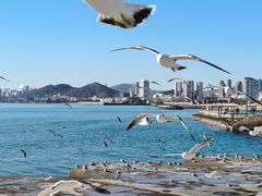 -星海广场