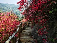 -木兰云雾山