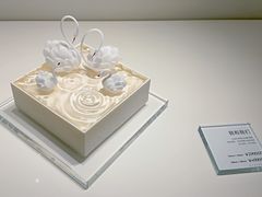 -BLACKSWAN黑天鹅(新希望店)