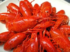 -巴厘龙虾·榜首油焖大虾(洞庭·艺术洋房店)