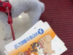 -派美特宠物医院·核磁CT·骨科肿瘤·疑难转诊(沈农禾丰店)