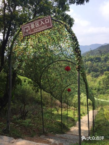 周末亲近大自然的好去处