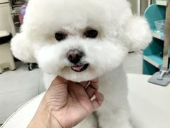 -北京观赏动物医院·24小时大型综合·猫专科·异宠专科