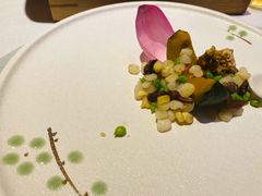 彩色水八珍-叶叶菩提·晋福宫