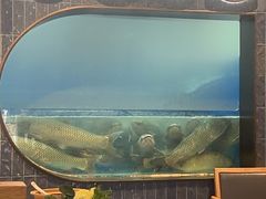 -渔惑·中山脆肉鲩火锅(仁恒梦店)