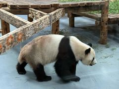 -无锡动物园·太湖欢乐园