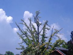 -浙江省博物馆(孤山馆区)