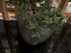 -浅深(北京北四环精品店)