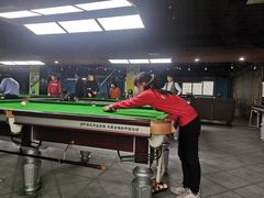 -新新潘晓婷台球俱乐部(周浦店)