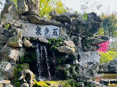 -上海醉白池公园