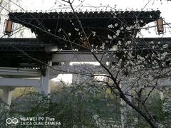 -运河游船(武林门码头)