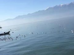 -大理洱海
