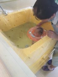 -皇家月府月子中心(沈阳店)