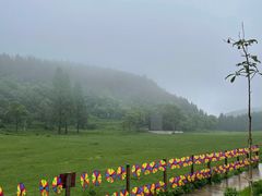 -武陵山森林公园