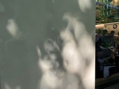 -大小咖啡 BigSmallCoffee(麦子店)