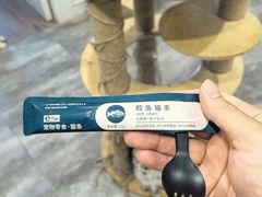 -楼上猫咖(罗湖店)