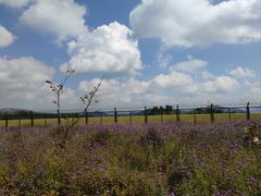 -河池金城江机场