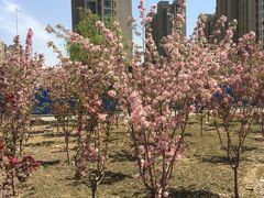 -河南工业大学(莲花街校区)