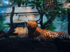 -广州长隆野生动物世界