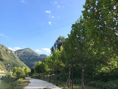 -天鹅湖生态旅游风景区