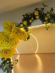 -蓝菲女子能量站·舞蹈·瑜伽·体塑