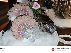 龙腾四海深海鱼姿造-揽季锅物会·海鲜姿造(五四路店)