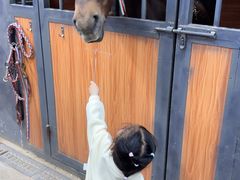 -骑乐马术(广州奥体优托邦中心)