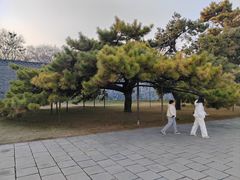 -北陵公园